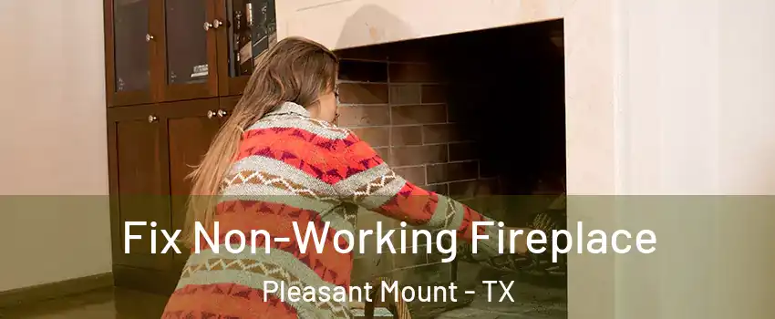 Fix Non-Working Fireplace Pleasant Mount - TX