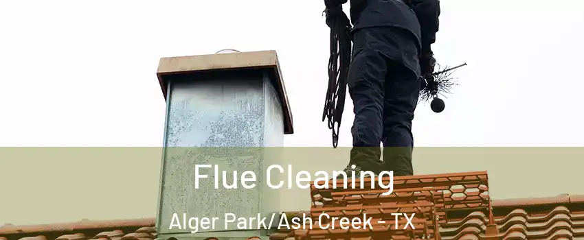 Flue Cleaning Alger Park/Ash Creek - TX