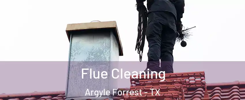 Flue Cleaning Argyle Forrest - TX