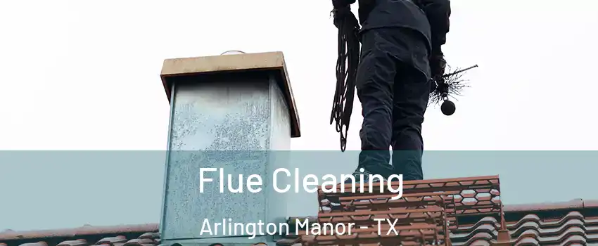 Flue Cleaning Arlington Manor - TX