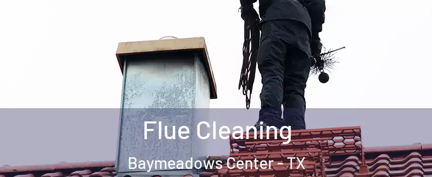 Flue Cleaning Baymeadows Center - TX