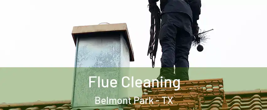 Flue Cleaning Belmont Park - TX