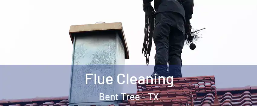 Flue Cleaning Bent Tree - TX