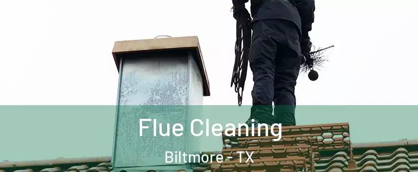 Flue Cleaning Biltmore - TX