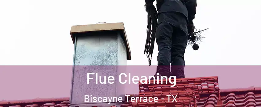 Flue Cleaning Biscayne Terrace - TX