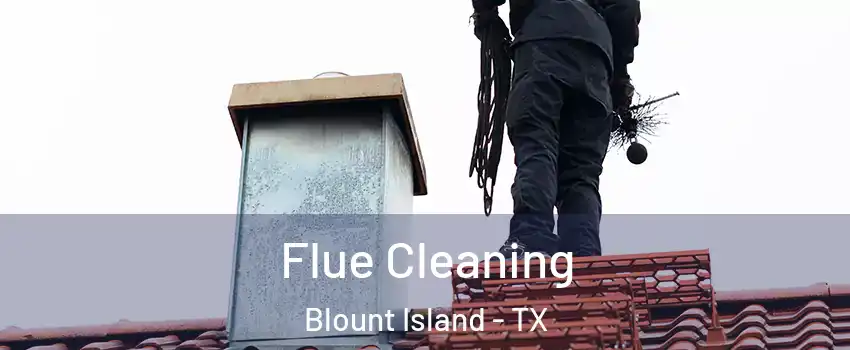 Flue Cleaning Blount Island - TX