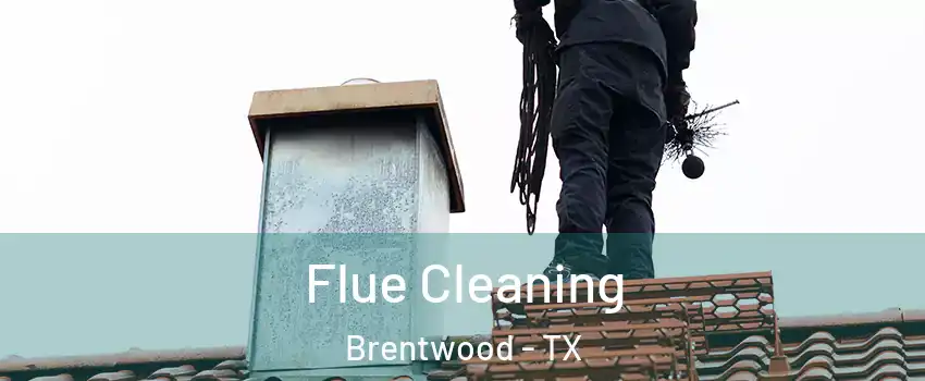 Flue Cleaning Brentwood - TX