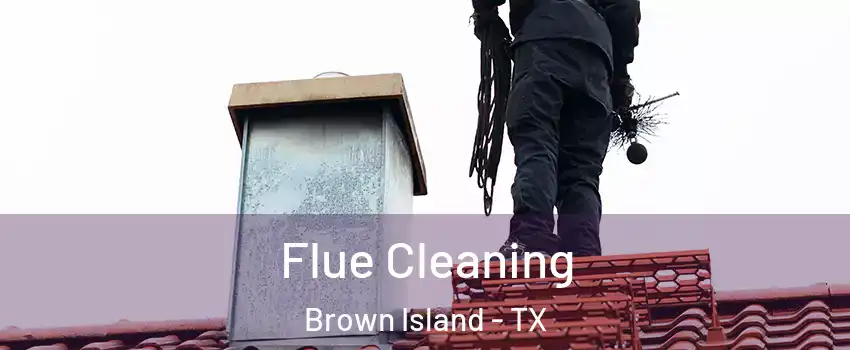 Flue Cleaning Brown Island - TX