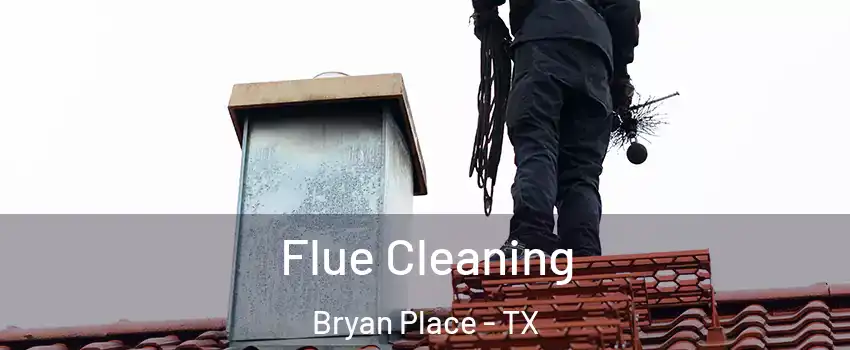 Flue Cleaning Bryan Place - TX