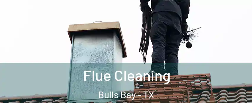 Flue Cleaning Bulls Bay - TX