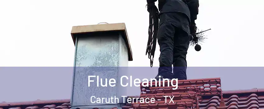 Flue Cleaning Caruth Terrace - TX