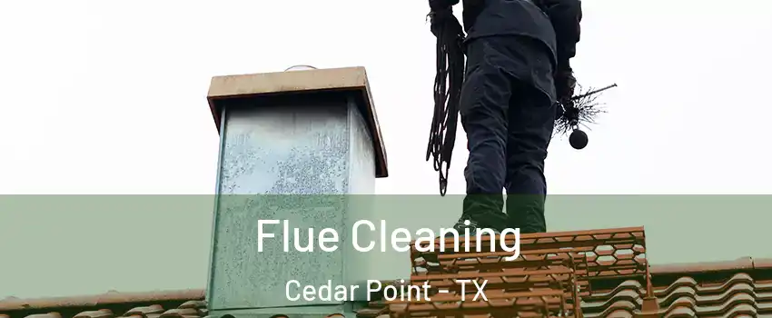 Flue Cleaning Cedar Point - TX