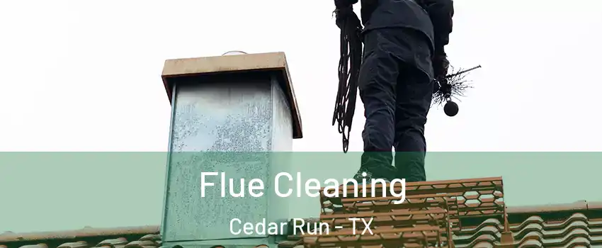 Flue Cleaning Cedar Run - TX