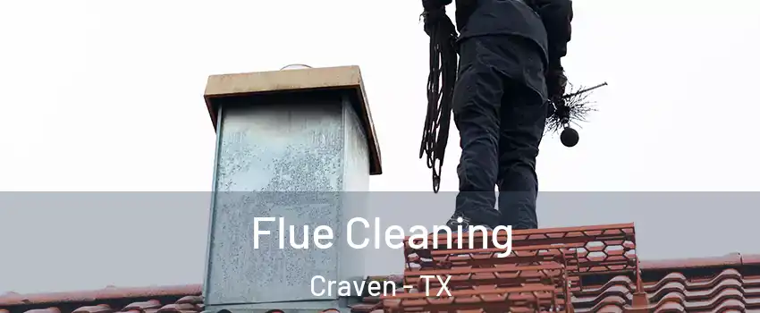 Flue Cleaning Craven - TX