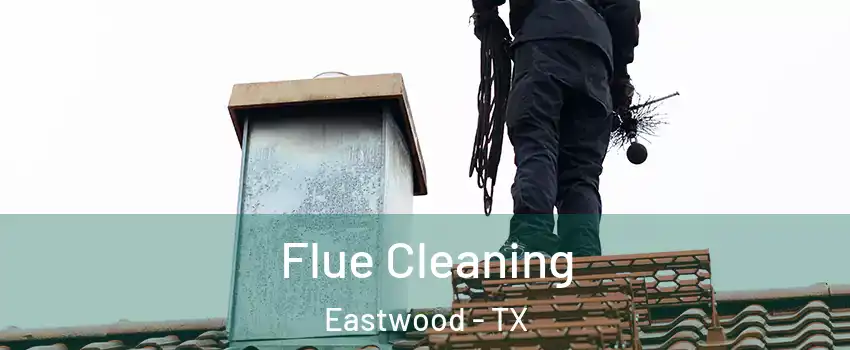 Flue Cleaning Eastwood - TX