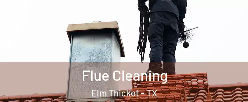 Flue Cleaning Elm Thicket - TX