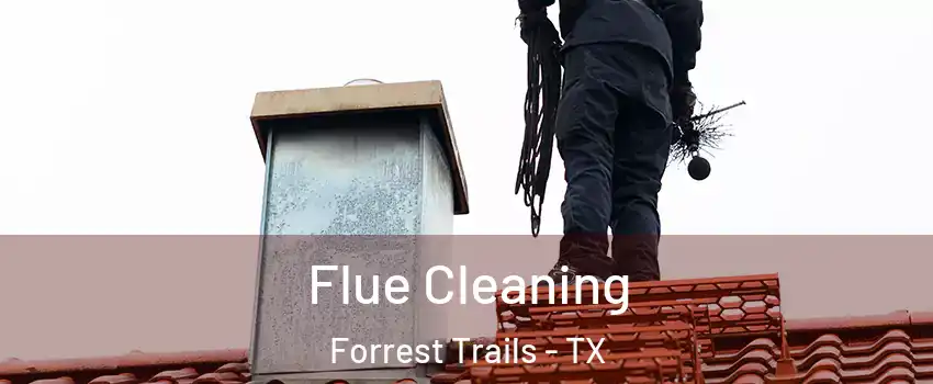 Flue Cleaning Forrest Trails - TX
