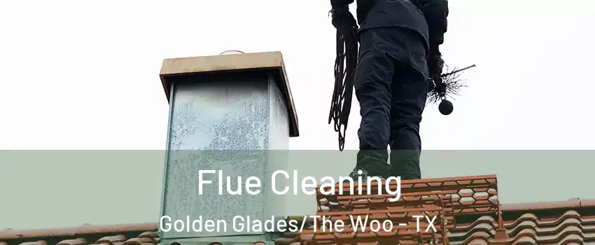 Flue Cleaning Golden Glades/The Woo - TX