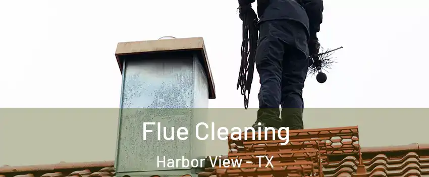 Flue Cleaning Harbor View - TX