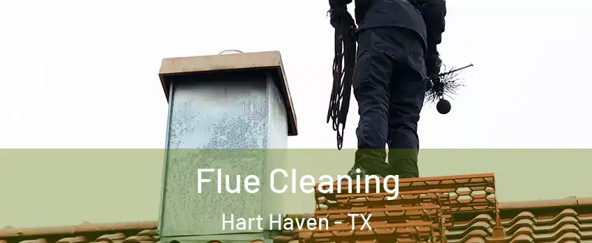 Flue Cleaning Hart Haven - TX