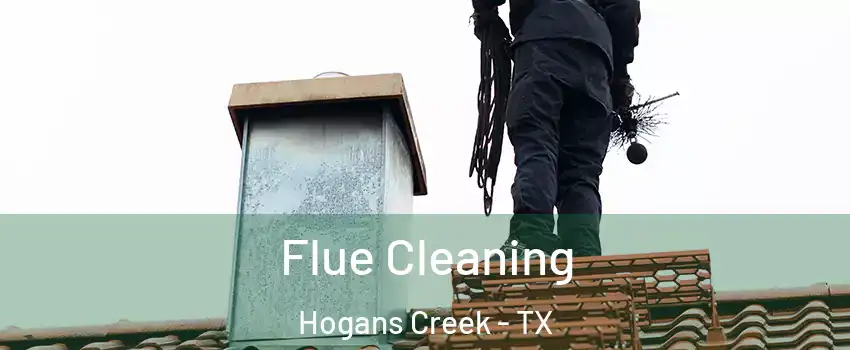 Flue Cleaning Hogans Creek - TX