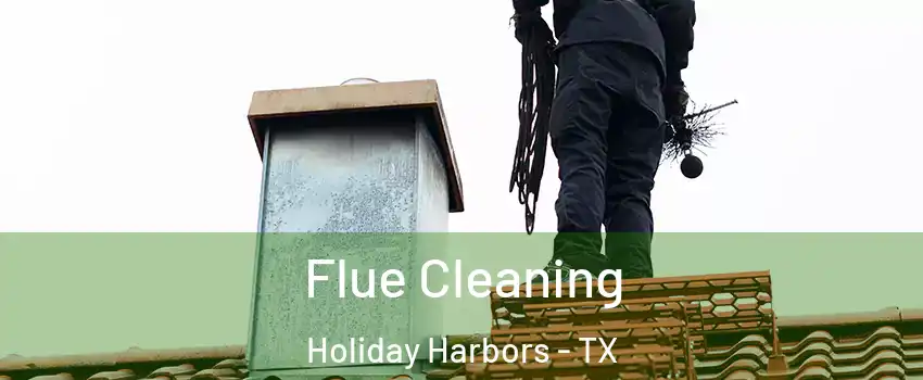 Flue Cleaning Holiday Harbors - TX