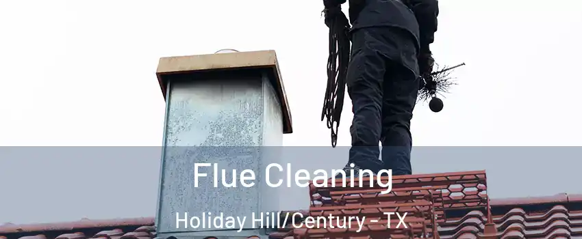 Flue Cleaning Holiday Hill/Century - TX