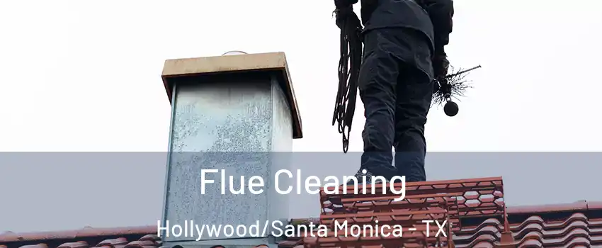 Flue Cleaning Hollywood/Santa Monica - TX