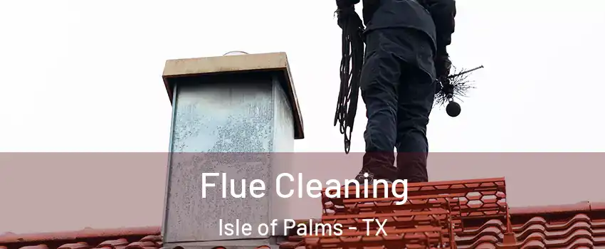Flue Cleaning Isle of Palms - TX