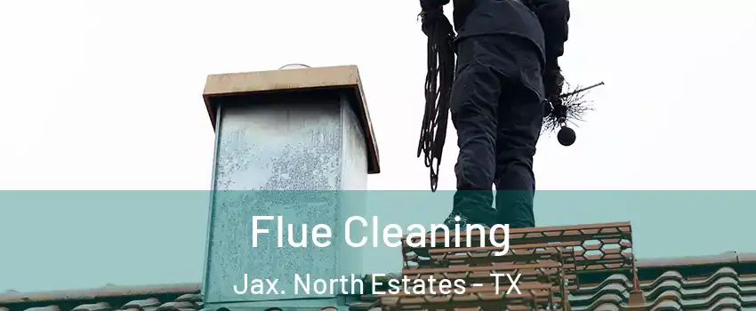 Flue Cleaning Jax. North Estates - TX