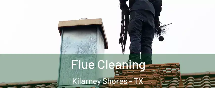 Flue Cleaning Kilarney Shores - TX