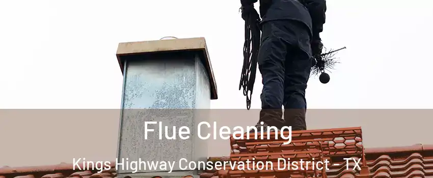 Flue Cleaning Kings Highway Conservation District - TX