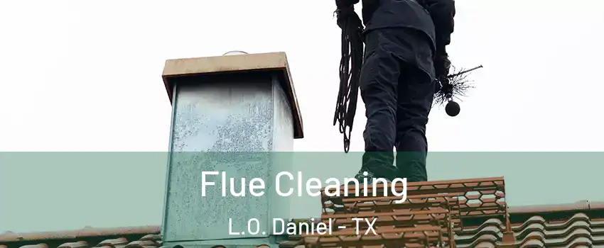 Flue Cleaning L.O. Daniel - TX