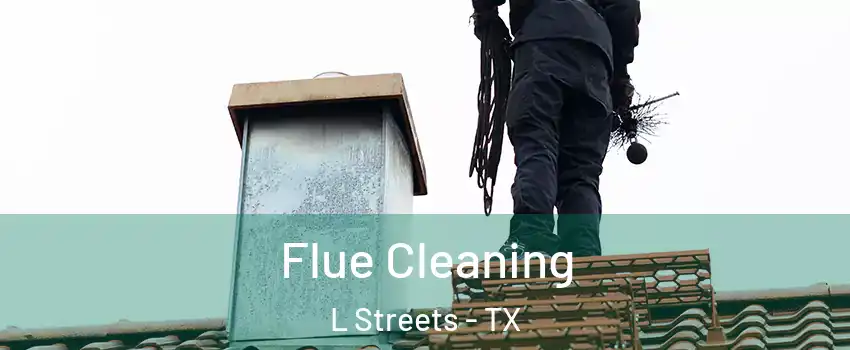 Flue Cleaning L Streets - TX