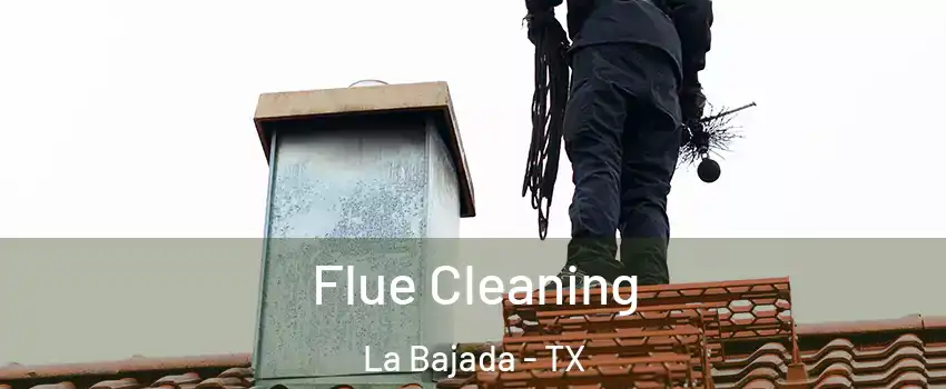 Flue Cleaning La Bajada - TX
