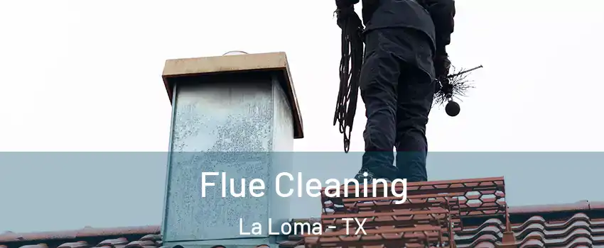 Flue Cleaning La Loma - TX