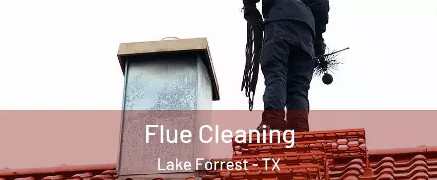 Flue Cleaning Lake Forrest - TX