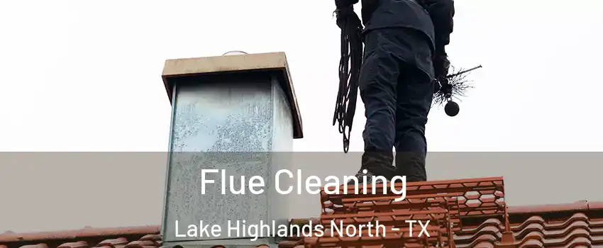 Flue Cleaning Lake Highlands North - TX