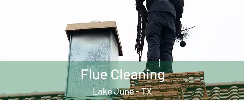 Flue Cleaning Lake June - TX