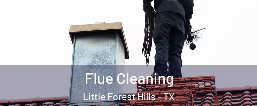 Flue Cleaning Little Forest Hills - TX