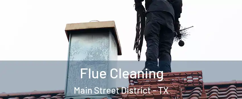 Flue Cleaning Main Street District - TX