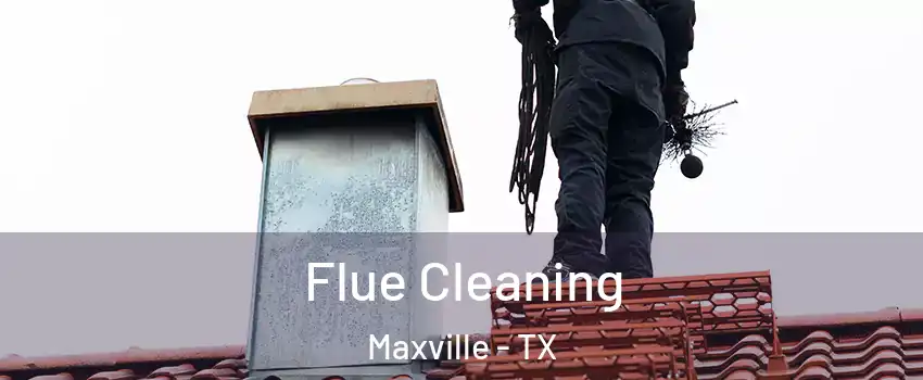 Flue Cleaning Maxville - TX