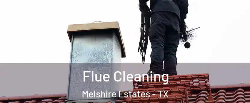 Flue Cleaning Melshire Estates - TX
