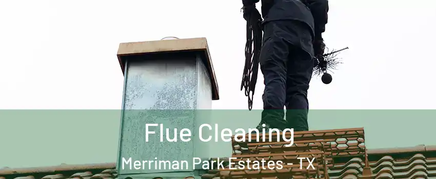 Flue Cleaning Merriman Park Estates - TX
