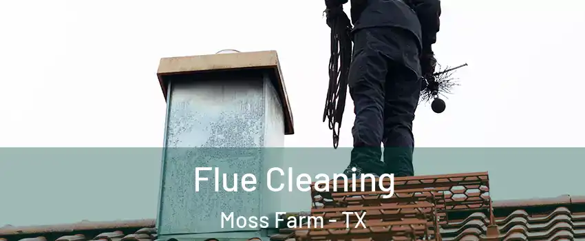 Flue Cleaning Moss Farm - TX