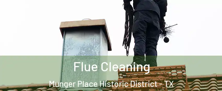 Flue Cleaning Munger Place Historic District - TX