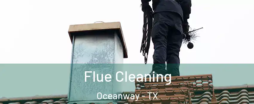 Flue Cleaning Oceanway - TX