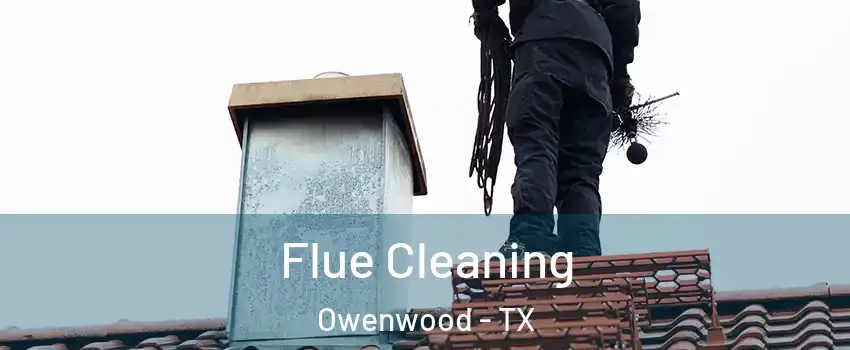 Flue Cleaning Owenwood - TX