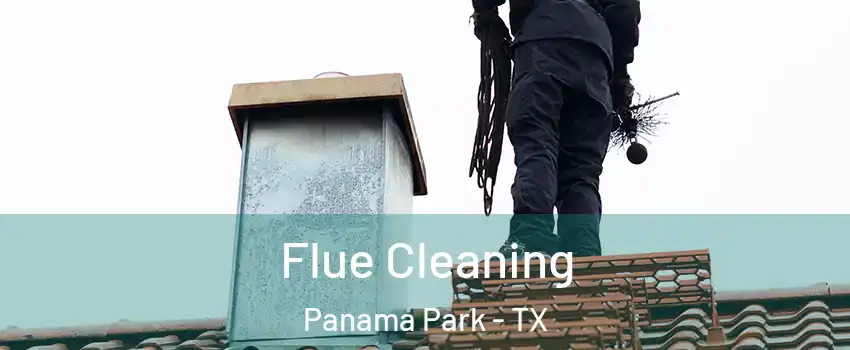 Flue Cleaning Panama Park - TX