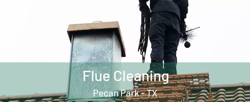 Flue Cleaning Pecan Park - TX